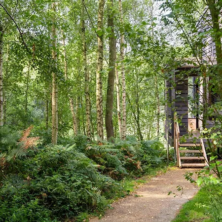 Elegant Family Mansion *