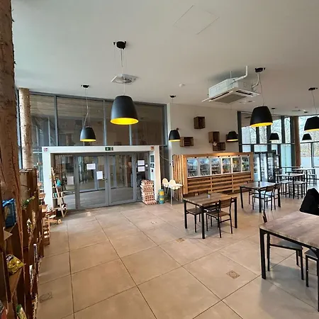 Elegant Family Mansion