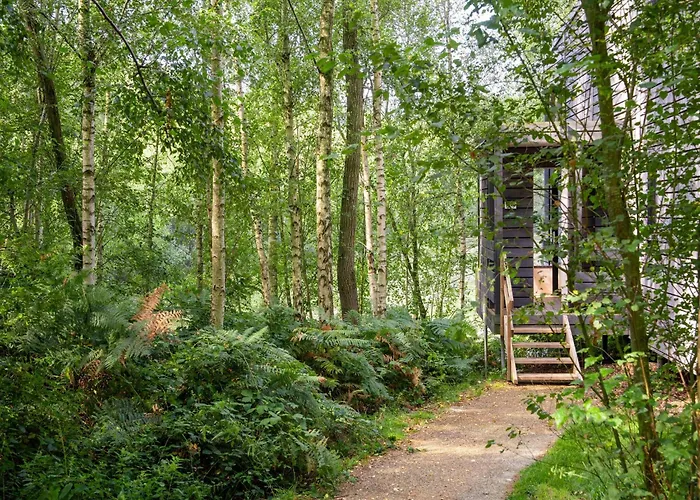 Elegant Family Mansion *